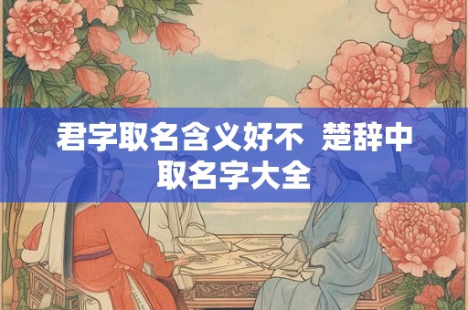 君字取名含义好不 楚辞中取名字大全 君字取名含义好不 楚辞中取名字大全