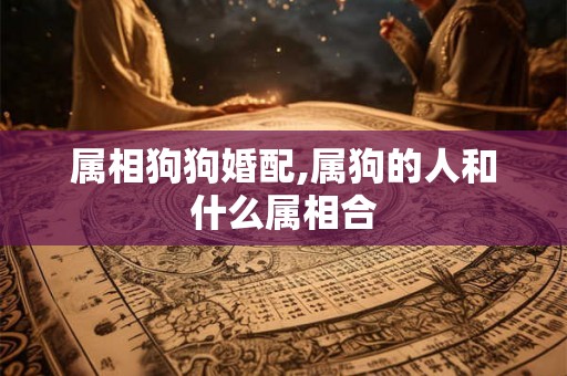 属相狗狗婚配,属狗的人和什么属相合
