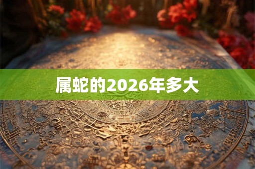 属蛇的2026年多大