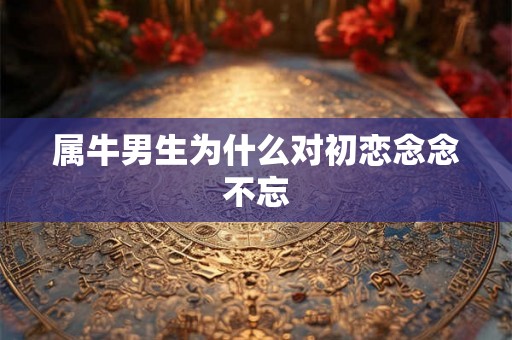 属牛男生为什么对初恋念念不忘