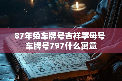 87年兔车牌号吉祥字母号 车牌号797什么寓意 87年兔车牌号吉祥字母号 车牌号797什么寓意