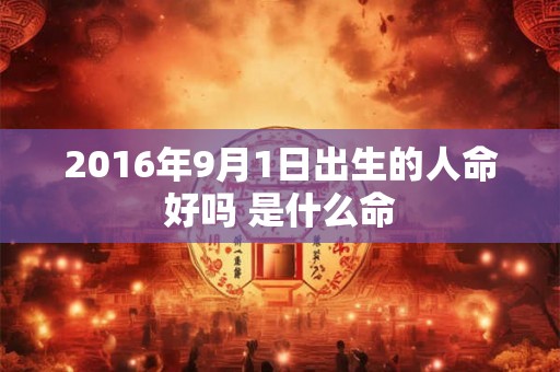 2016年9月1日出生的人命好吗 是什么命