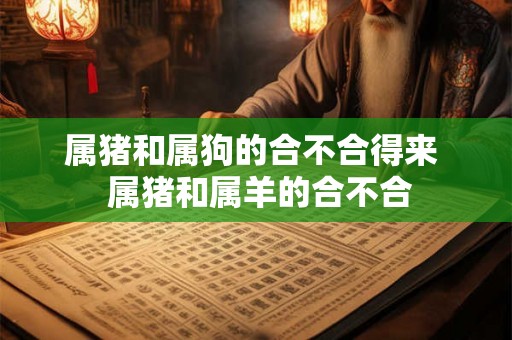 属猪和属狗的合不合得来  属猪和属羊的合不合