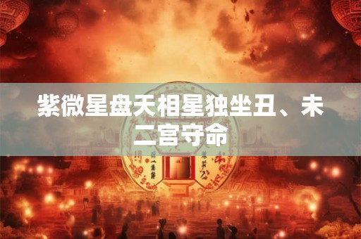 紫微星盘天相星独坐丑、未二宫守命 紫微星盘天相星独坐丑、未二宫守命