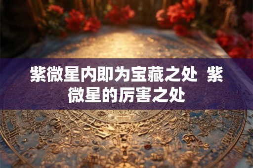 紫微星内即为宝藏之处  紫微星的厉害之处