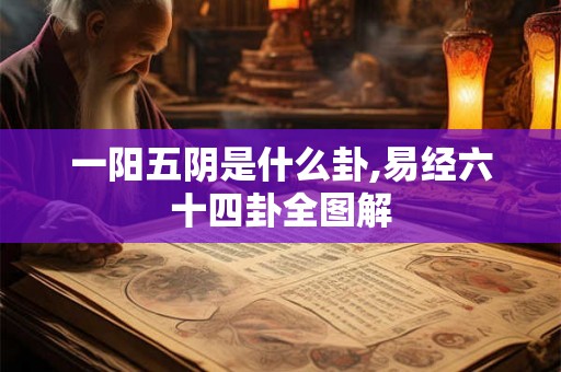 一阳五阴是什么卦,易经六十四卦全图解