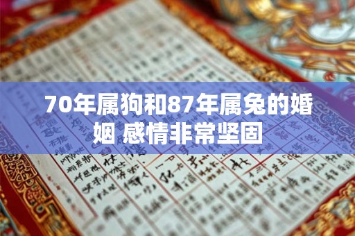 70年属狗和87年属兔的婚姻 感情非常坚固