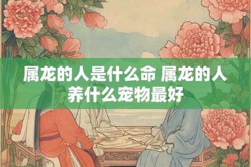 属龙的人是什么命 属龙的人养什么宠物最好