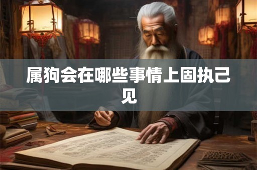 属狗会在哪些事情上固执己见