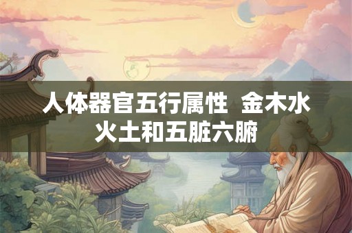 人体器官五行属性  金木水火土和五脏六腑