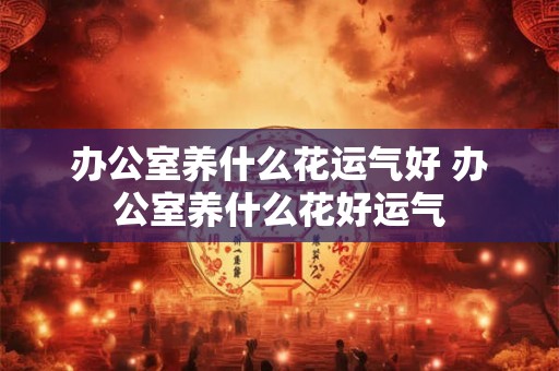 办公室养什么花运气好 办公室养什么花好运气