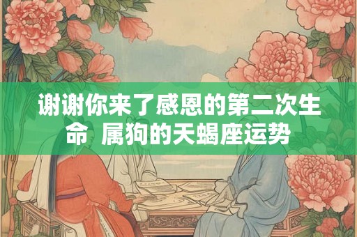 谢谢你来了感恩的第二次生命 属狗的天蝎座运势 谢谢你来了感恩的第二次生命 属狗的天蝎座运势
