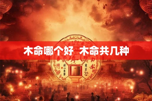 木命哪个好  木命共几种
