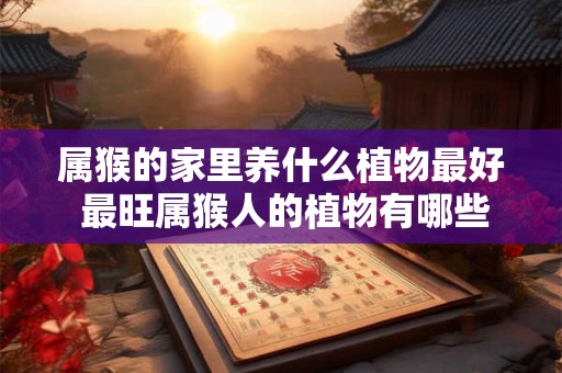 属猴的家里养什么植物最好 最旺属猴人的植物有哪些 属猴的家里养什么植物最好 最旺属猴人的植物有哪些