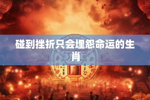 碰到挫折只会埋怨命运的生肖