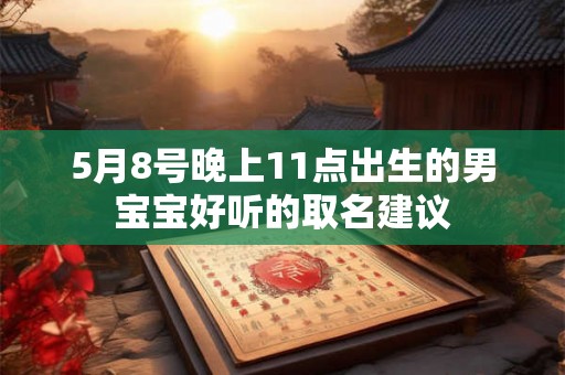 5月8号晚上11点出生的男宝宝好听的取名建议
