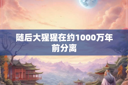 随后大猩猩在约1000万年前分离 随后大猩猩在约1000万年前分离