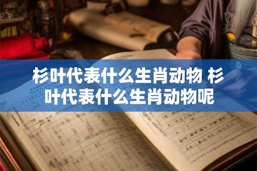 杉叶代表什么生肖动物 杉叶代表什么生肖动物呢