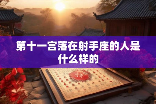 第十一宫落在射手座的人是什么样的