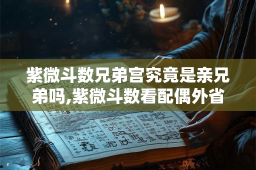 紫微斗数兄弟宫究竟是亲兄弟吗,紫微斗数看配偶外省人