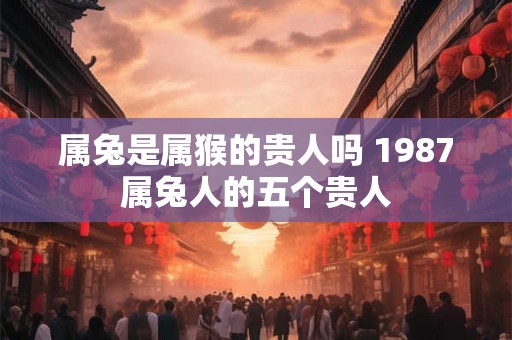 属兔是属猴的贵人吗 1987属兔人的五个贵人 属兔是属猴的贵人吗 1987属兔人的五个贵人