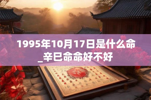 1995年10月17日是什么命_辛巳命命好不好