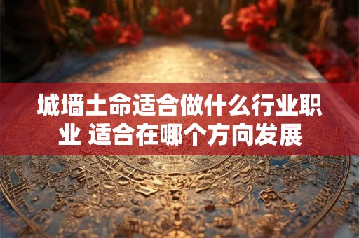 城墙土命适合做什么行业职业 适合在哪个方向发展