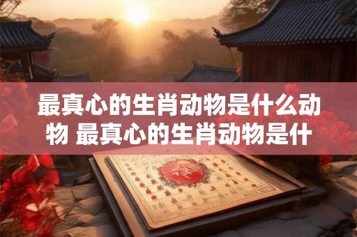 最真心的生肖动物是什么动物 最真心的生肖动物是什么动物呢 最真心的生肖动物是什么动物 最真心的生肖动物是什么动物呢