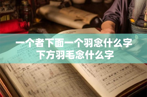 一个者下面一个羽念什么字 下方羽毛念什么字 一个者下面一个羽念什么字 下方羽毛念什么字