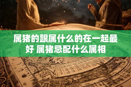 属猪的跟属什么的在一起最好 属猪忌配什么属相