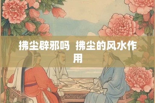 拂尘辟邪吗  拂尘的风水作用
