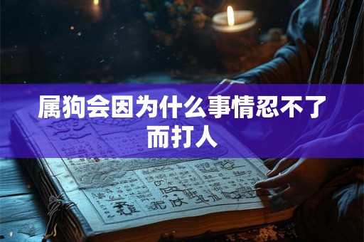 属狗会因为什么事情忍不了而打人