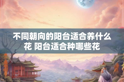 不同朝向的阳台适合养什么花 阳台适合种哪些花