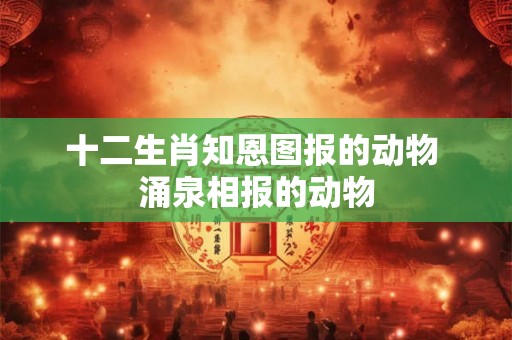 十二生肖知恩图报的动物 涌泉相报的动物