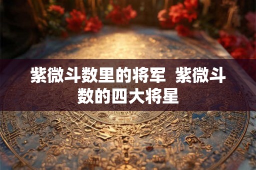 紫微斗数里的将军  紫微斗数的四大将星