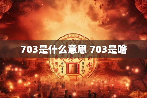 703是什么意思 703是啥 703是什么意思 703是啥