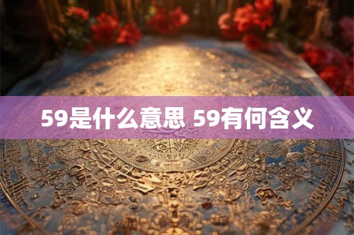 59是什么意思 59有何含义