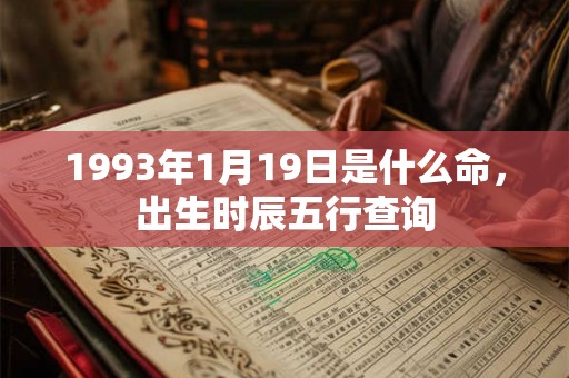 1993年1月19日是什么命，出生时辰五行查询