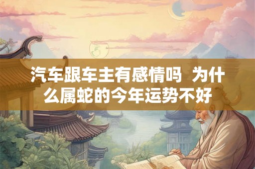 汽车跟车主有感情吗  为什么属蛇的今年运势不好