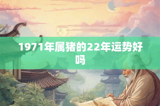 1971年属猪的22年运势好吗