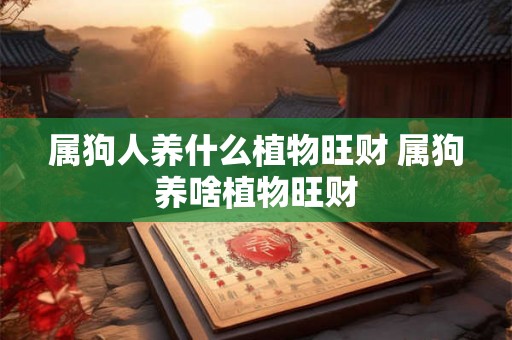 属狗人养什么植物旺财 属狗养啥植物旺财
