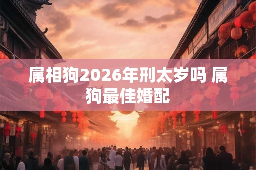 属相狗2026年刑太岁吗 属狗最佳婚配