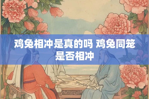 鸡兔相冲是真的吗 鸡兔同笼是否相冲