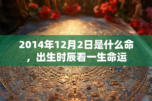 2014年12月2日是什么命，出生时辰看一生命运