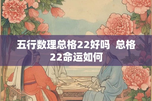 五行数理总格22好吗  总格22命运如何