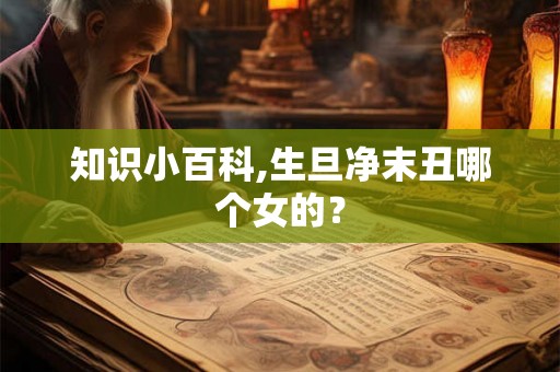 知识小百科,生旦净末丑哪个女的？