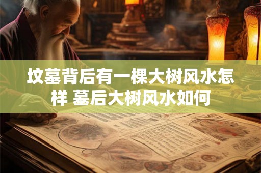 坟墓背后有一棵大树风水怎样 墓后大树风水如何