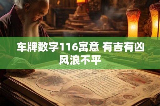 车牌数字116寓意 有吉有凶风浪不平