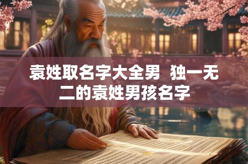 袁姓取名字大全男  独一无二的袁姓男孩名字