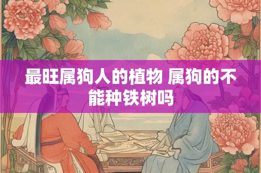 最旺属狗人的植物 属狗的不能种铁树吗